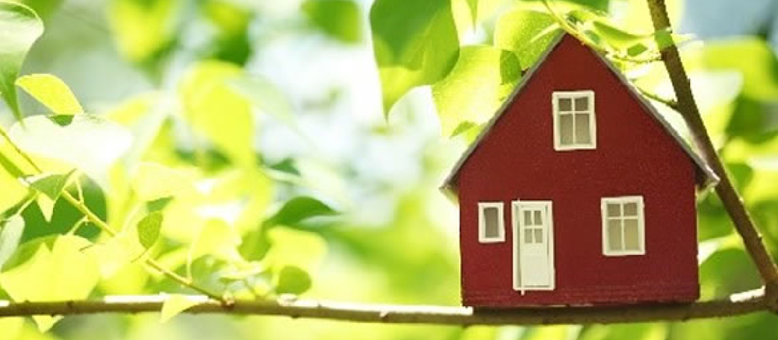 Small house in the sun
