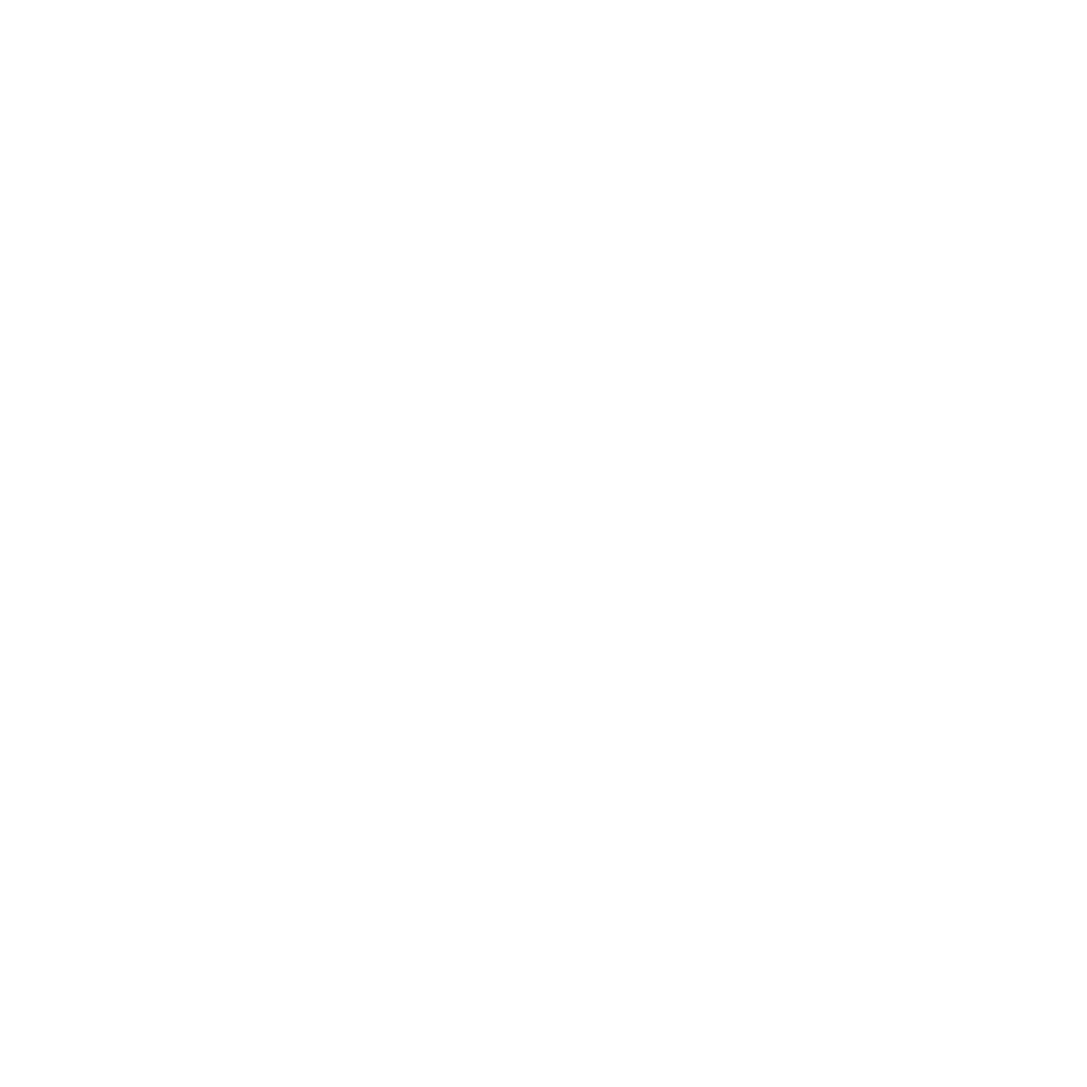 Icon Privacy